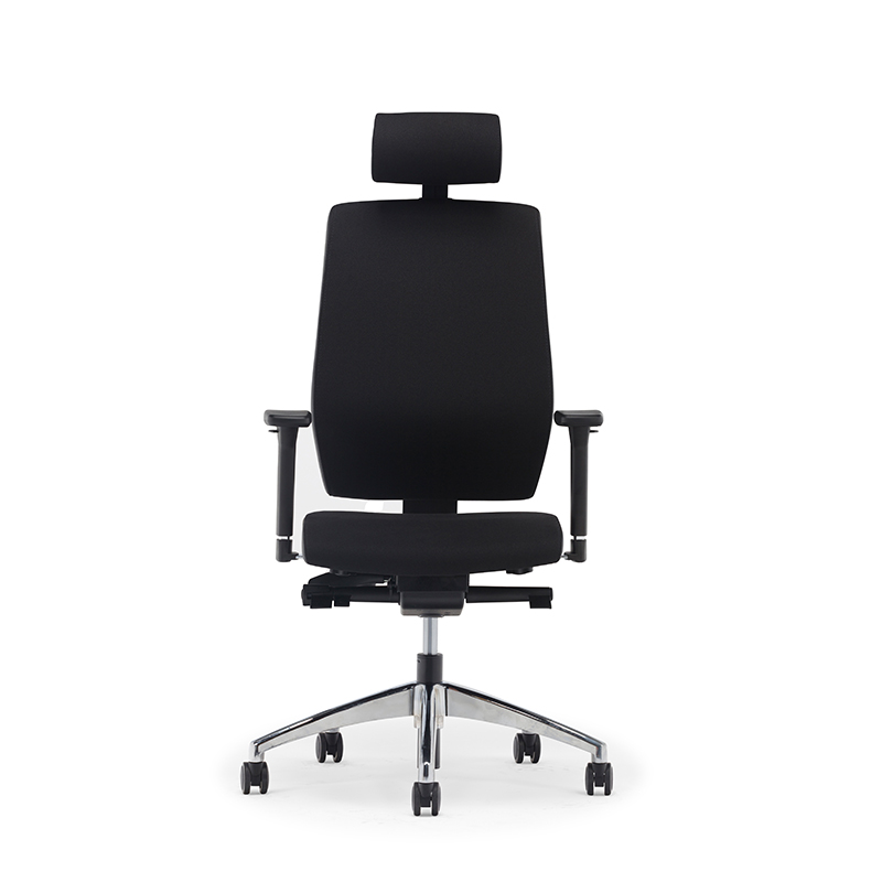 Best High Back Ergonomic Executive Office Chair with Lumbar Support-E2 Alpha